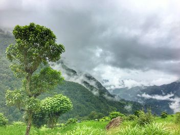 Ghandruk foggy morning, Nepal - Free image #462183